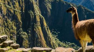 Machu Picchu Peru