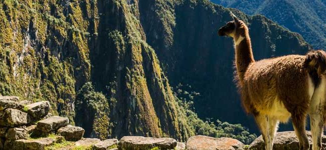 Sobre Machu Picchu