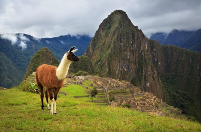 6 curiosidades sobre Machu Picchu que você não sabia